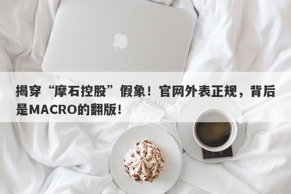 揭穿“摩石控股”假象！官网外表正规，背后是MACRO的翻版！-第1张图片-要懂汇