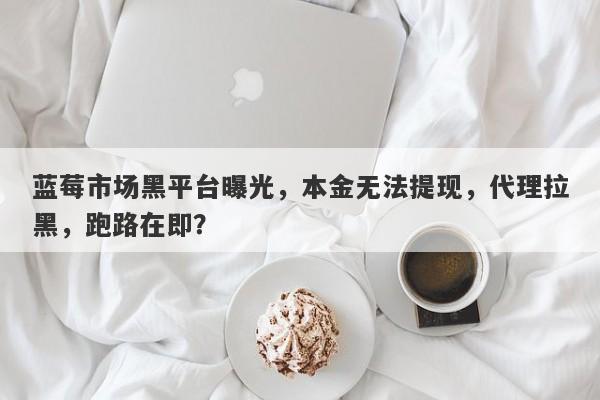 蓝莓市场黑平台曝光，本金无法提现，代理拉黑，跑路在即？-第1张图片-要懂汇