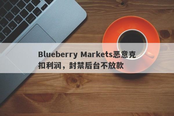 Blueberry Markets恶意克扣利润，封禁后台不放款-第1张图片-要懂汇