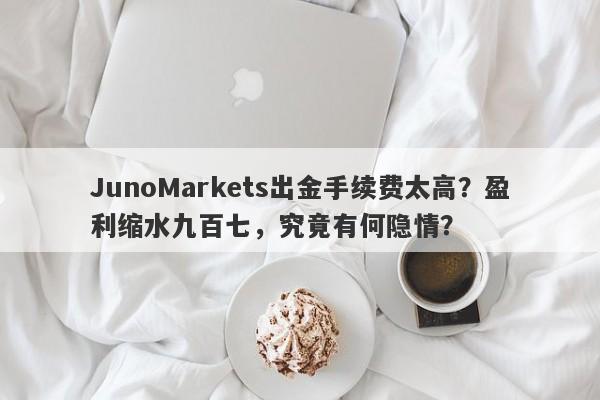 JunoMarkets出金手续费太高？盈利缩水九百七，究竟有何隐情？-第1张图片-要懂汇