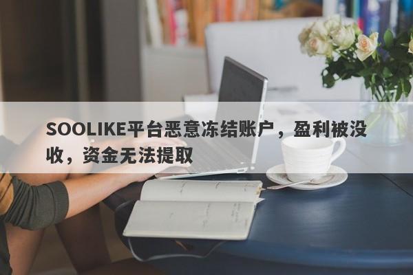 SOOLIKE平台恶意冻结账户，盈利被没收，资金无法提取-第1张图片-要懂汇