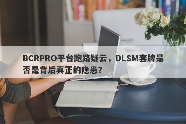 BCRPRO平台跑路疑云，DLSM套牌是否是背后真正的隐患？-第1张图片-要懂汇