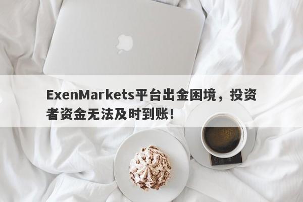 ExenMarkets平台出金困境，投资者资金无法及时到账！-第1张图片-要懂汇