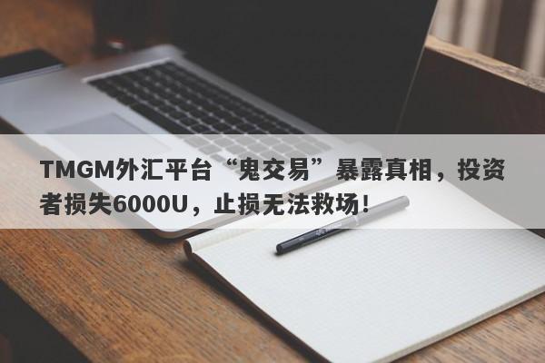 TMGM外汇平台“鬼交易”暴露真相，投资者损失6000U，止损无法救场！-第1张图片-要懂汇