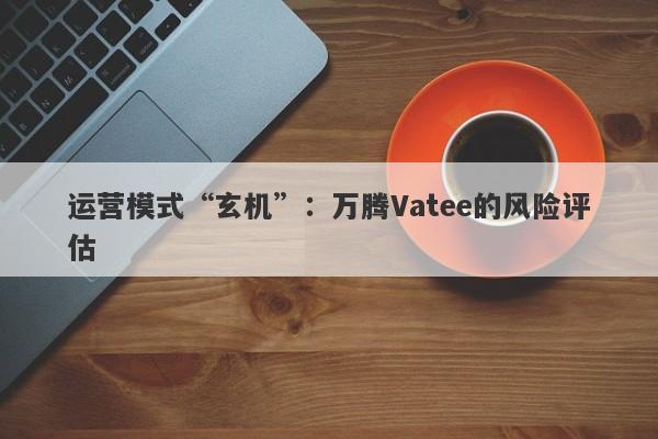 运营模式“玄机”：万腾Vatee的风险评估-第1张图片-要懂汇